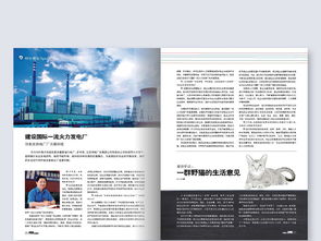 企業宣傳畫冊與健身器材期刊設計指南